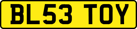 BL53TOY