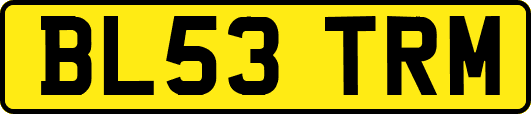 BL53TRM