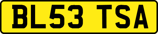BL53TSA