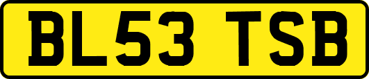 BL53TSB