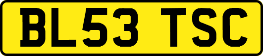 BL53TSC