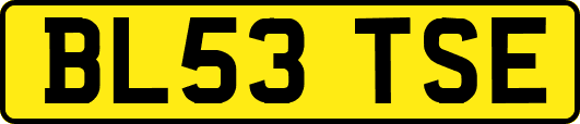 BL53TSE