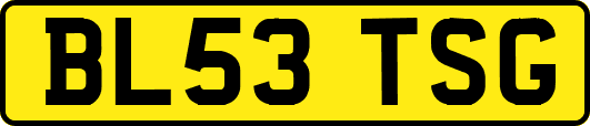 BL53TSG