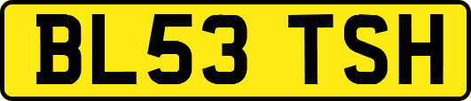 BL53TSH