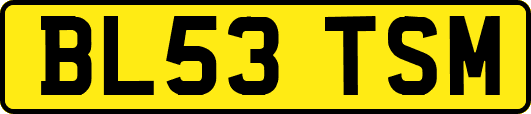 BL53TSM