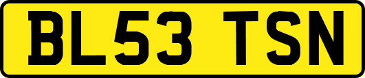 BL53TSN