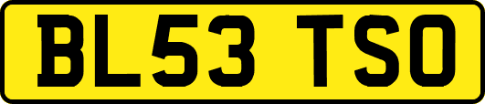 BL53TSO