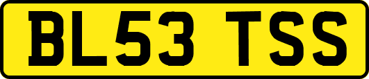 BL53TSS