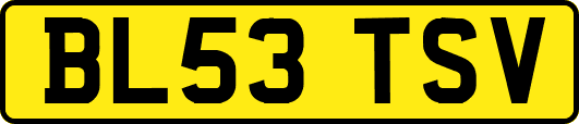 BL53TSV