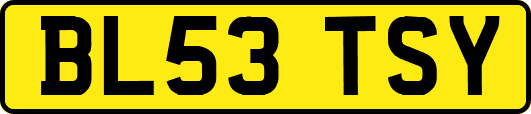 BL53TSY