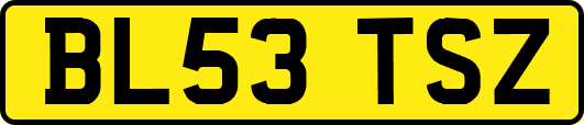 BL53TSZ