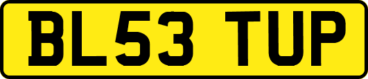 BL53TUP