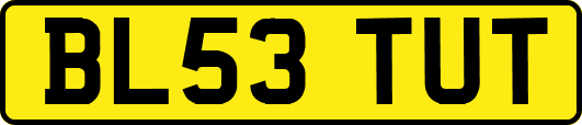 BL53TUT
