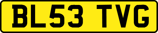 BL53TVG