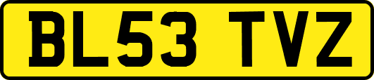 BL53TVZ