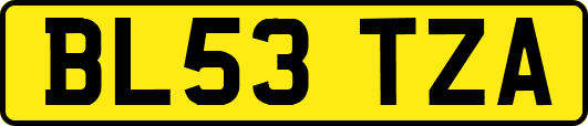 BL53TZA