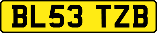 BL53TZB