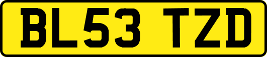 BL53TZD