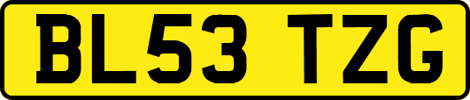 BL53TZG