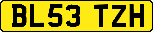 BL53TZH