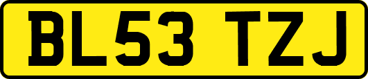 BL53TZJ