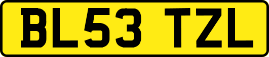 BL53TZL