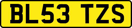 BL53TZS