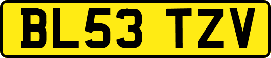 BL53TZV