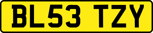 BL53TZY