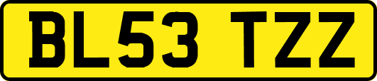 BL53TZZ