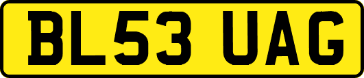 BL53UAG