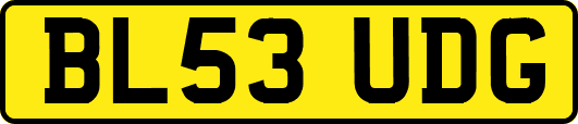 BL53UDG