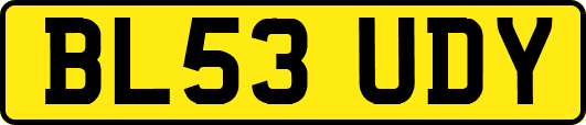 BL53UDY