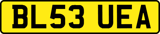 BL53UEA
