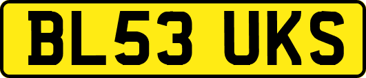 BL53UKS