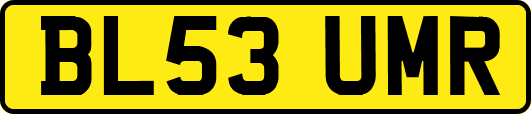 BL53UMR