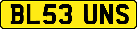 BL53UNS