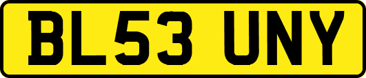 BL53UNY