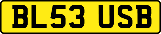 BL53USB