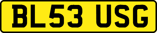 BL53USG