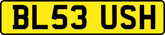 BL53USH