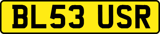 BL53USR