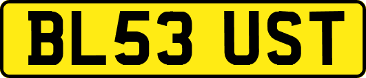 BL53UST