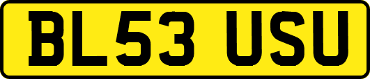 BL53USU