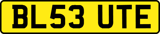 BL53UTE