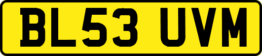 BL53UVM