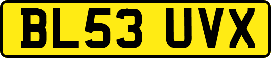 BL53UVX