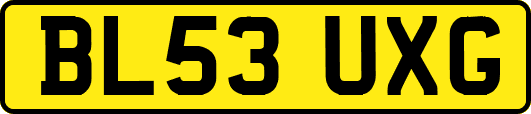 BL53UXG
