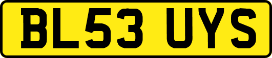 BL53UYS