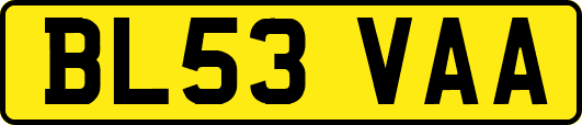 BL53VAA